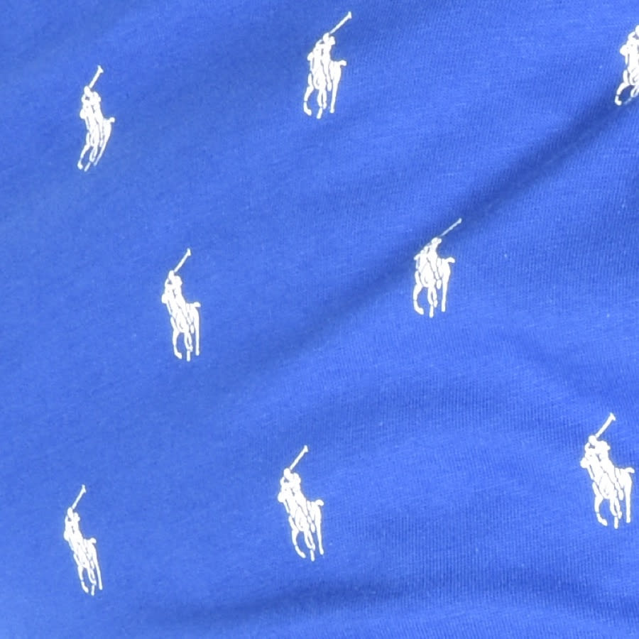 Alternative Image for ProductRalph Lauren Logo Shorts Blue3